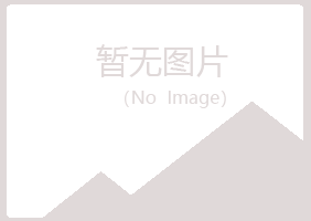 珠山区夏日培训有限公司